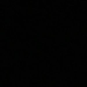 Meet your Posher, Elly